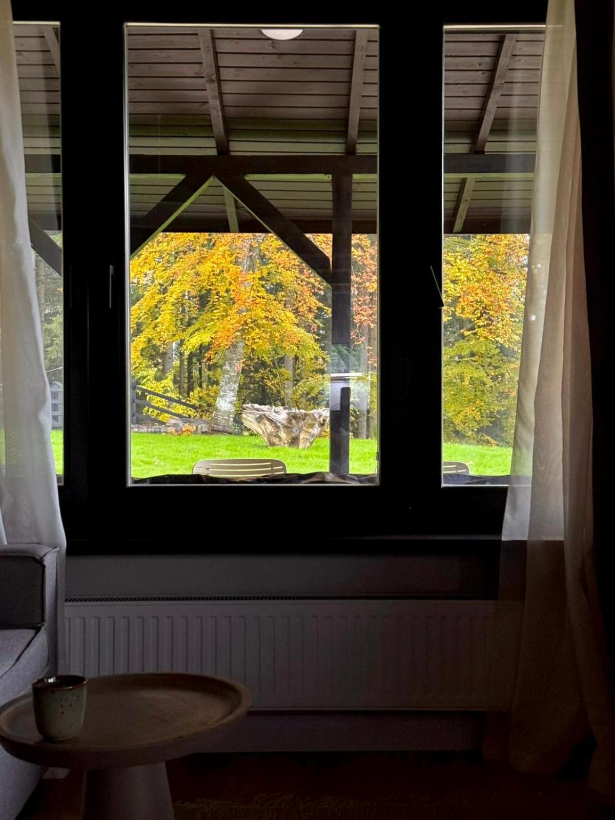 The Pines Bucegi Lodge