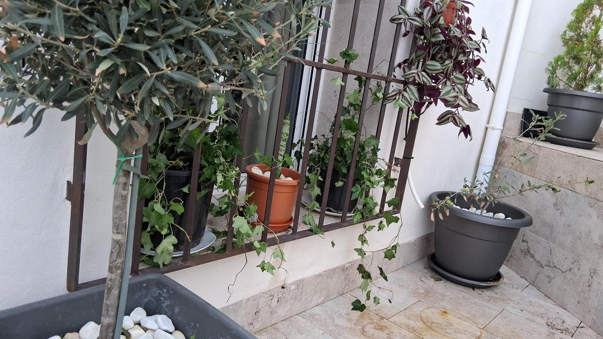 EL CHORRO Aire acondicionado Bar privado Barbacoa Amplios patios