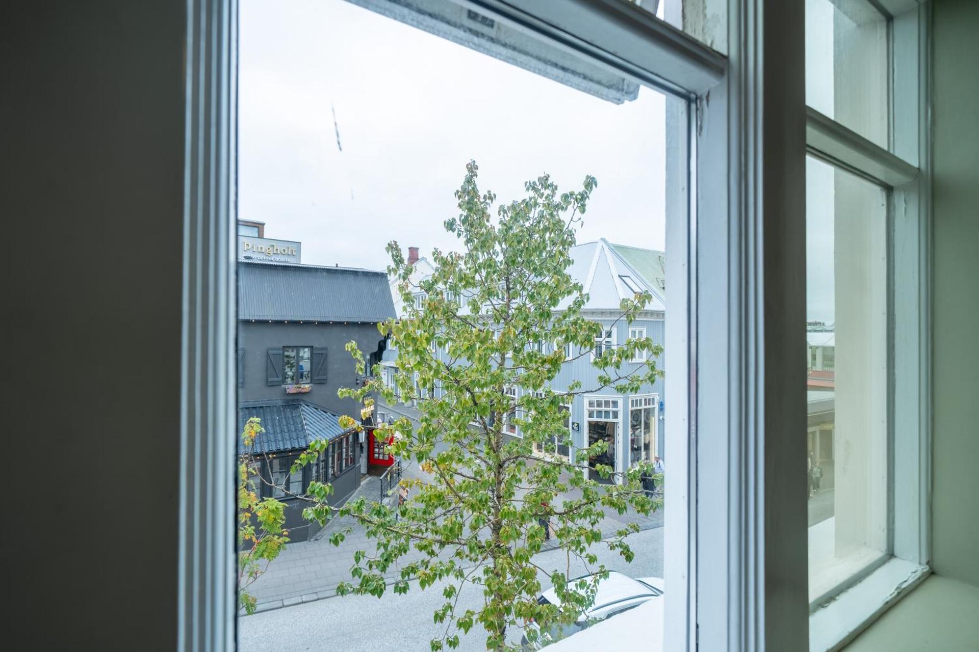 View (from property/room)