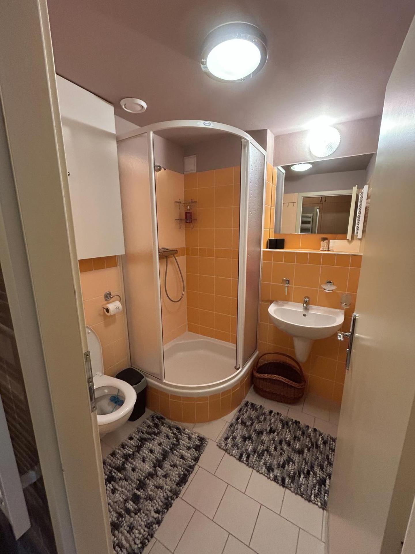 Apartmán v Srdci hor - Říčky v Orlických horách