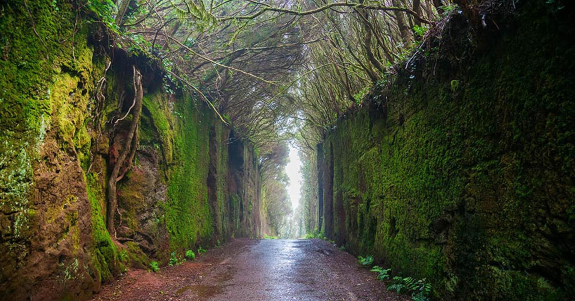 El ático Parosa 'con vistas al mar'