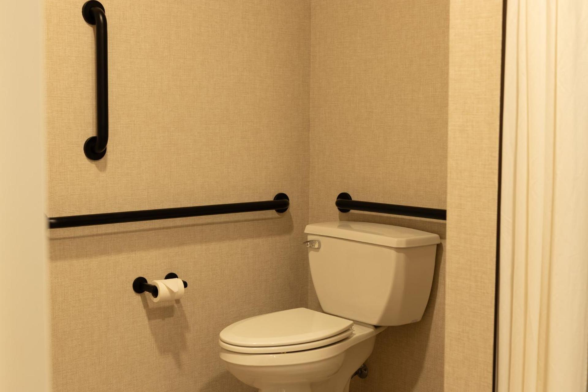 Deluxe Accessible Double Queen