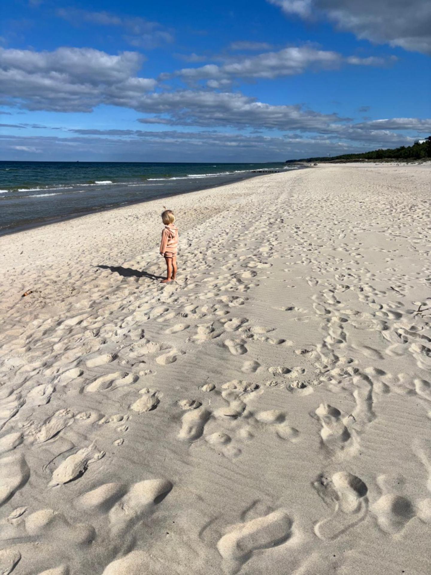 Apartament Sosnowy AKTENA Shellter Rogowo