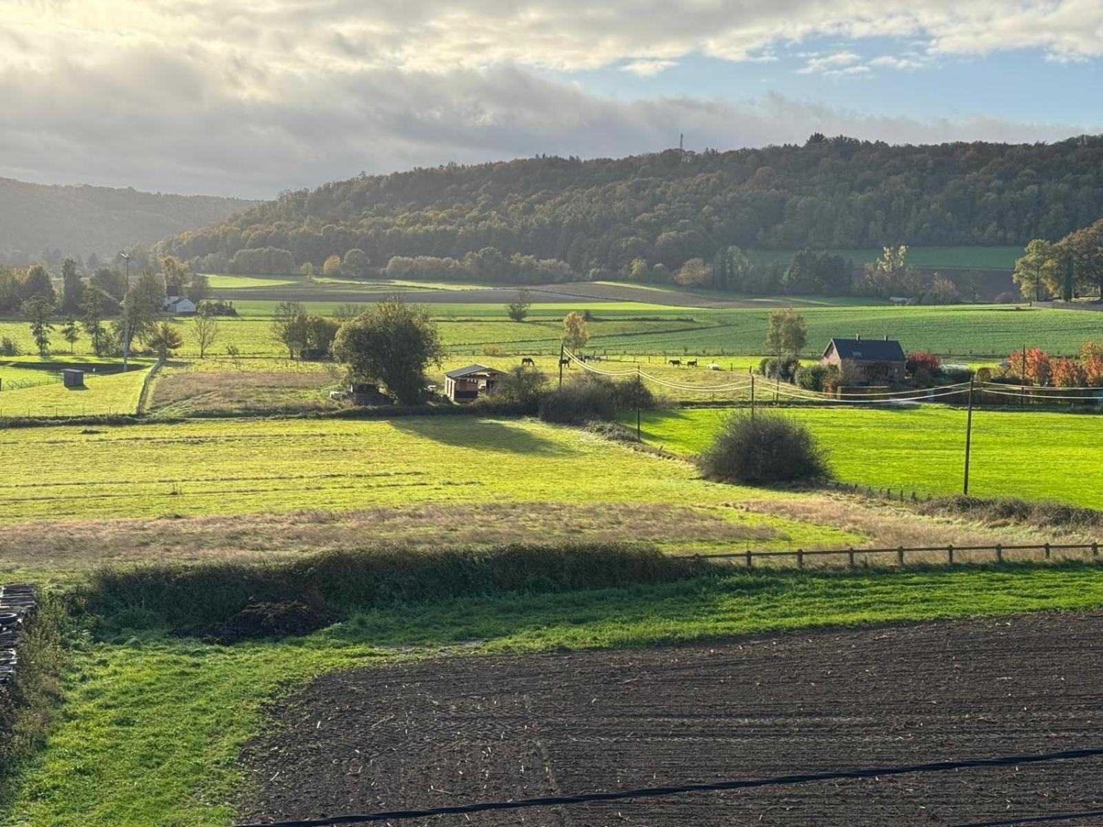 Nouvelles chambres très confortables avec réfrigérateur