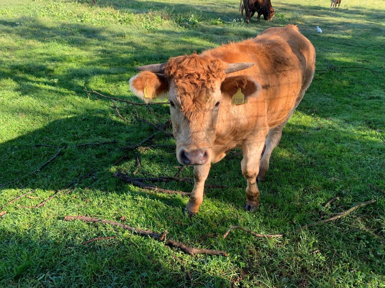 Agriturismo Corte Bonetti