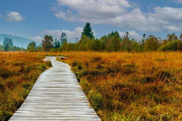 Appartement situé dans la nature des Hautes-Fagnes
