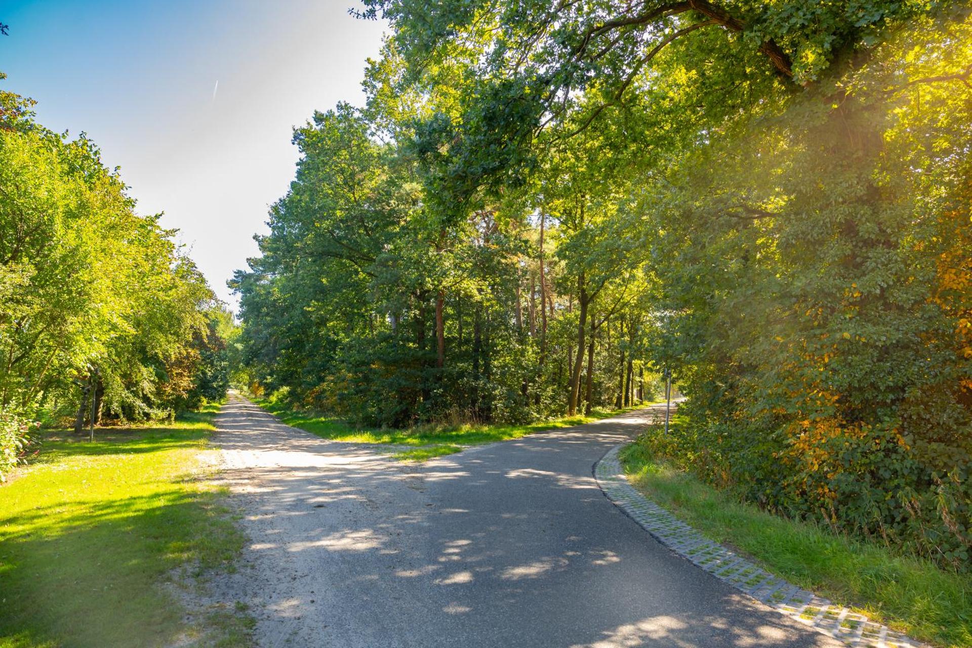 Landgoed Steenbergen