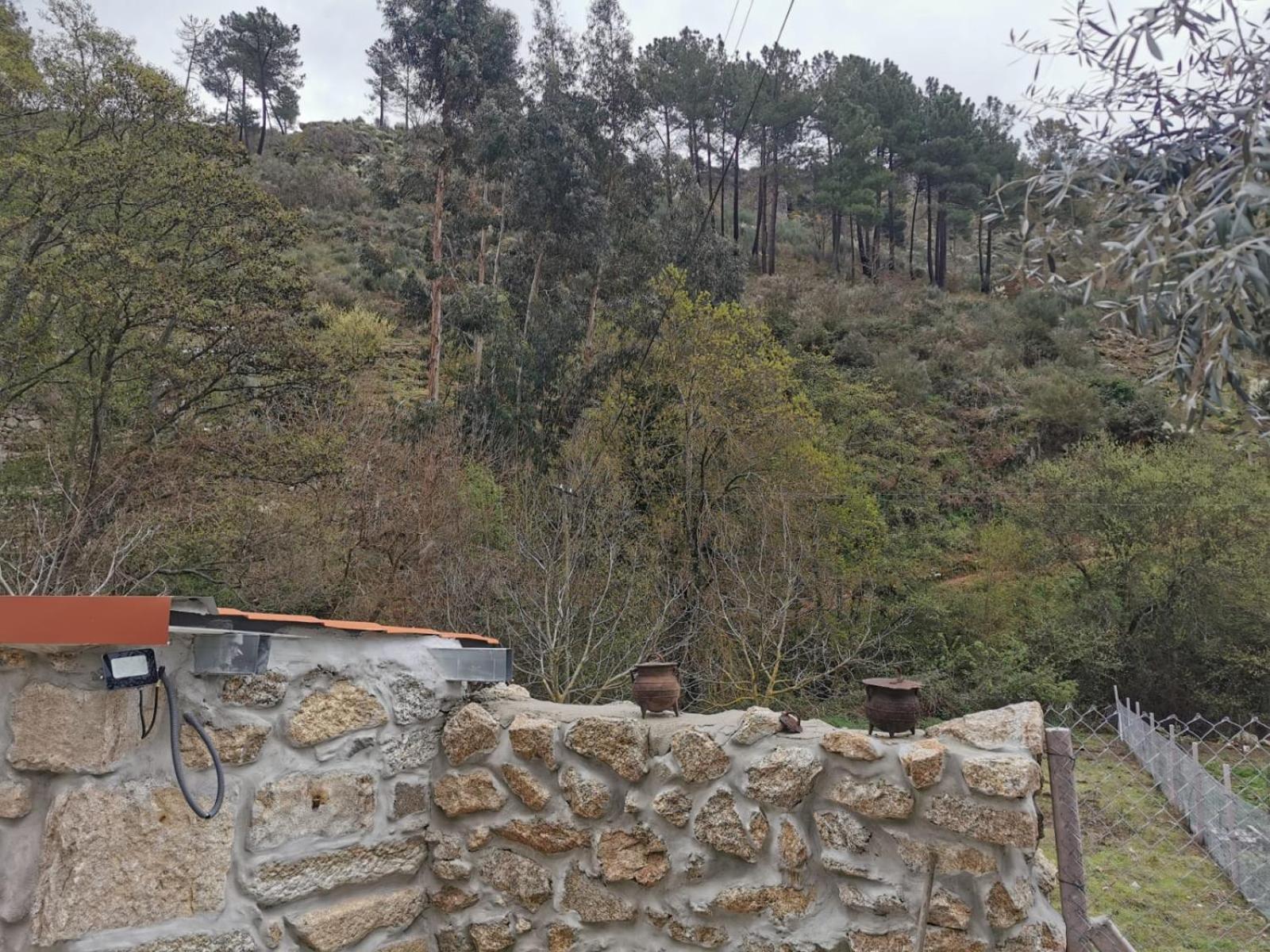 Casa Olho da Lebre Barrocal