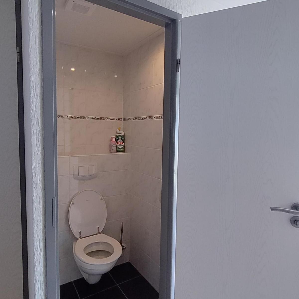 Amazing nature house