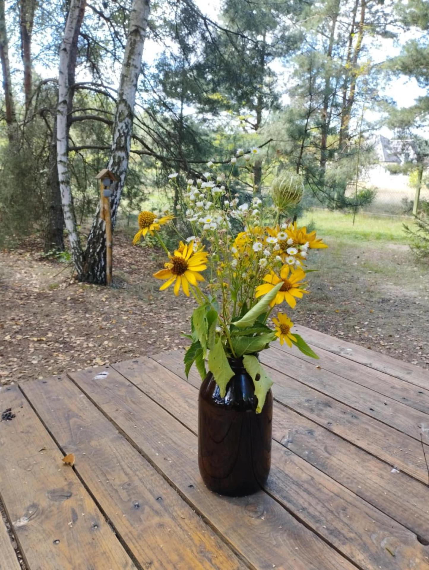 Ajurweda na Jurze Agroturystyka
