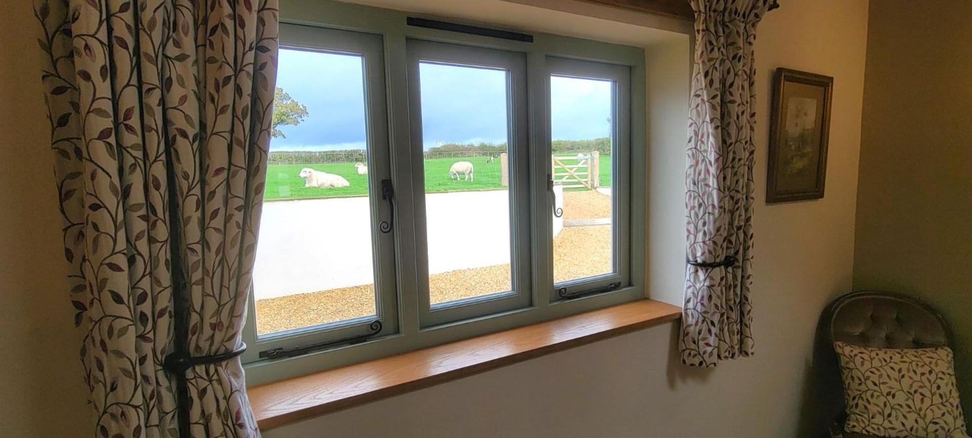 View (from property/room)