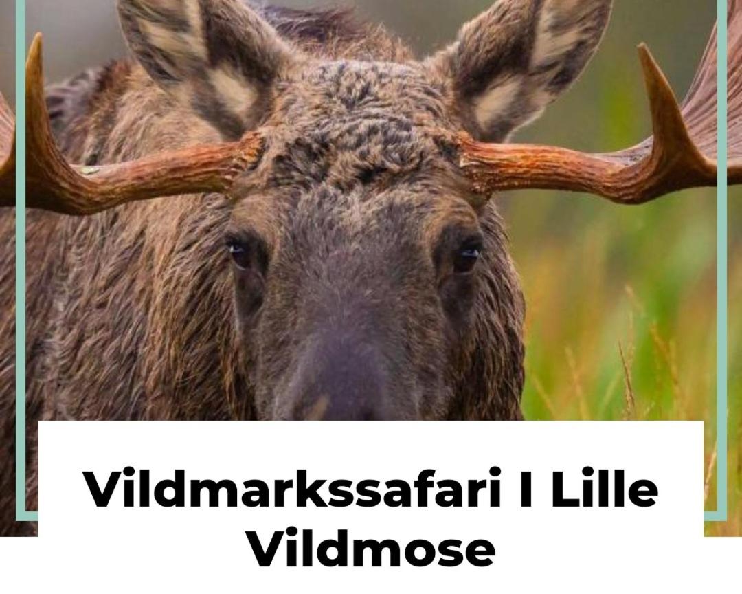 Havhuset I Øster Hurup - i byen, ved stranden