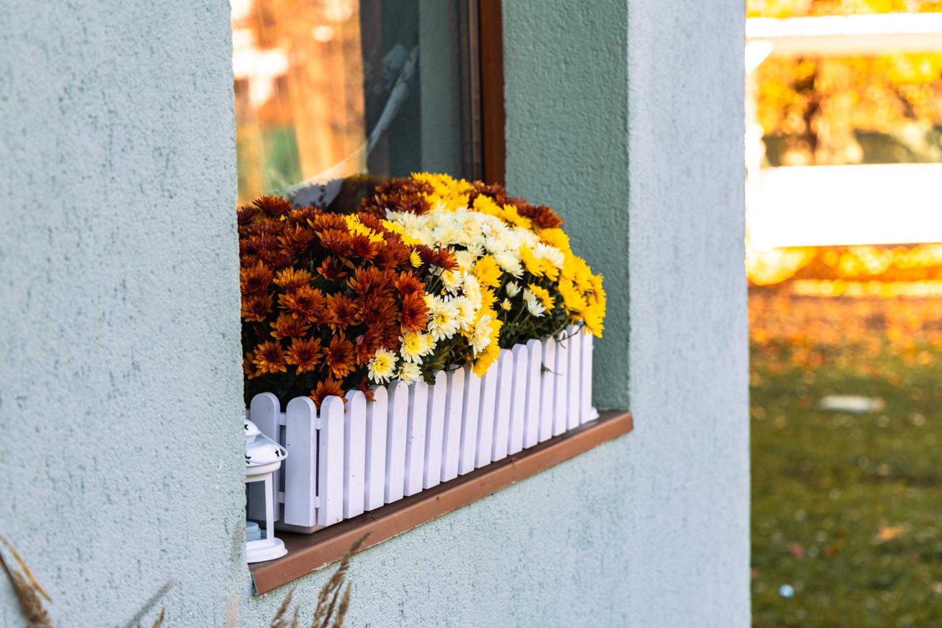 PENSIUNE RESTAURANT POIANA AVRIGULUI loc de joaca pentru copii