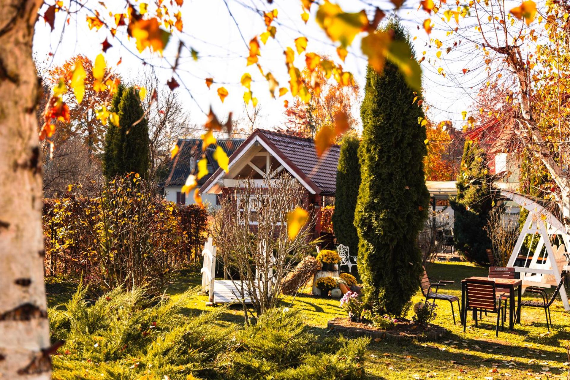 PENSIUNE RESTAURANT POIANA AVRIGULUI loc de joaca pentru copii