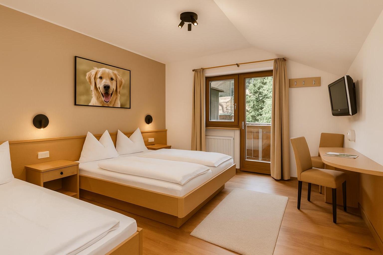 Photo of the whole room