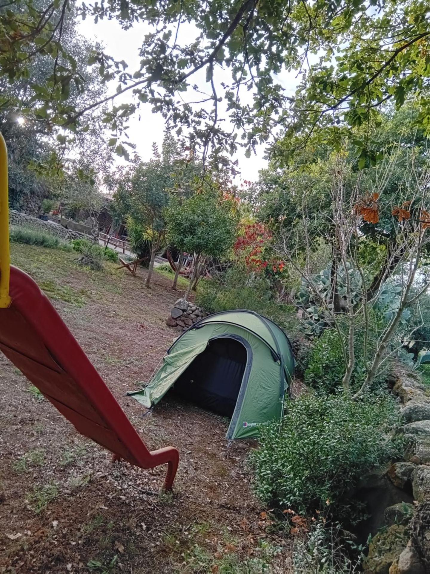 Azienda agricola Affittacamere S'Ispinalba di Laura Pitzolu