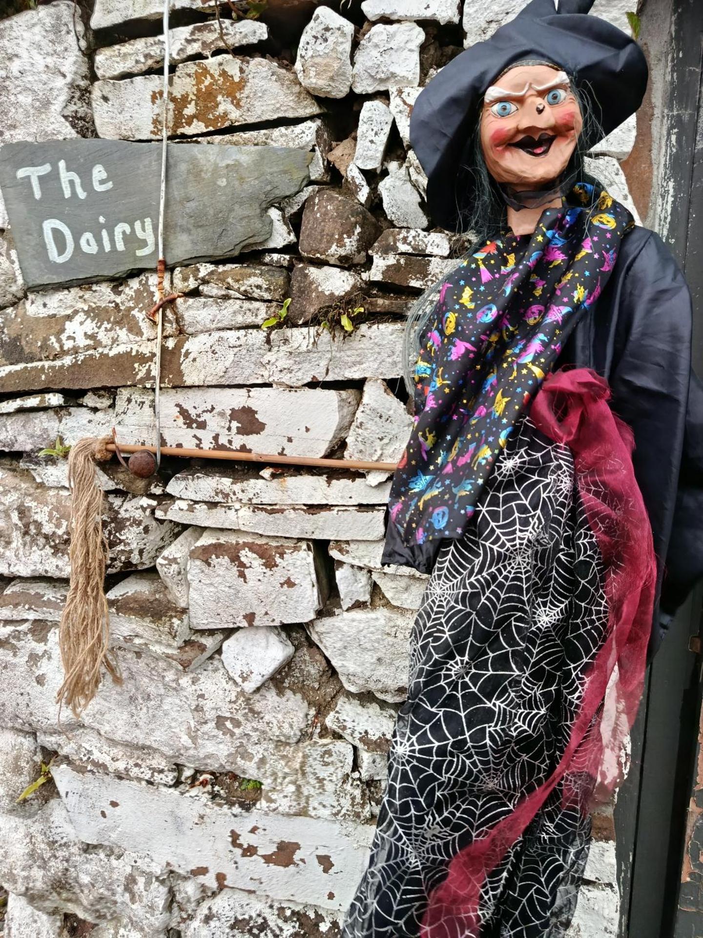 The Old House at Belfield