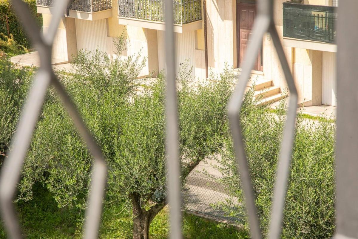 Dimora degli Angeli Your Cozy Stay in Assisi