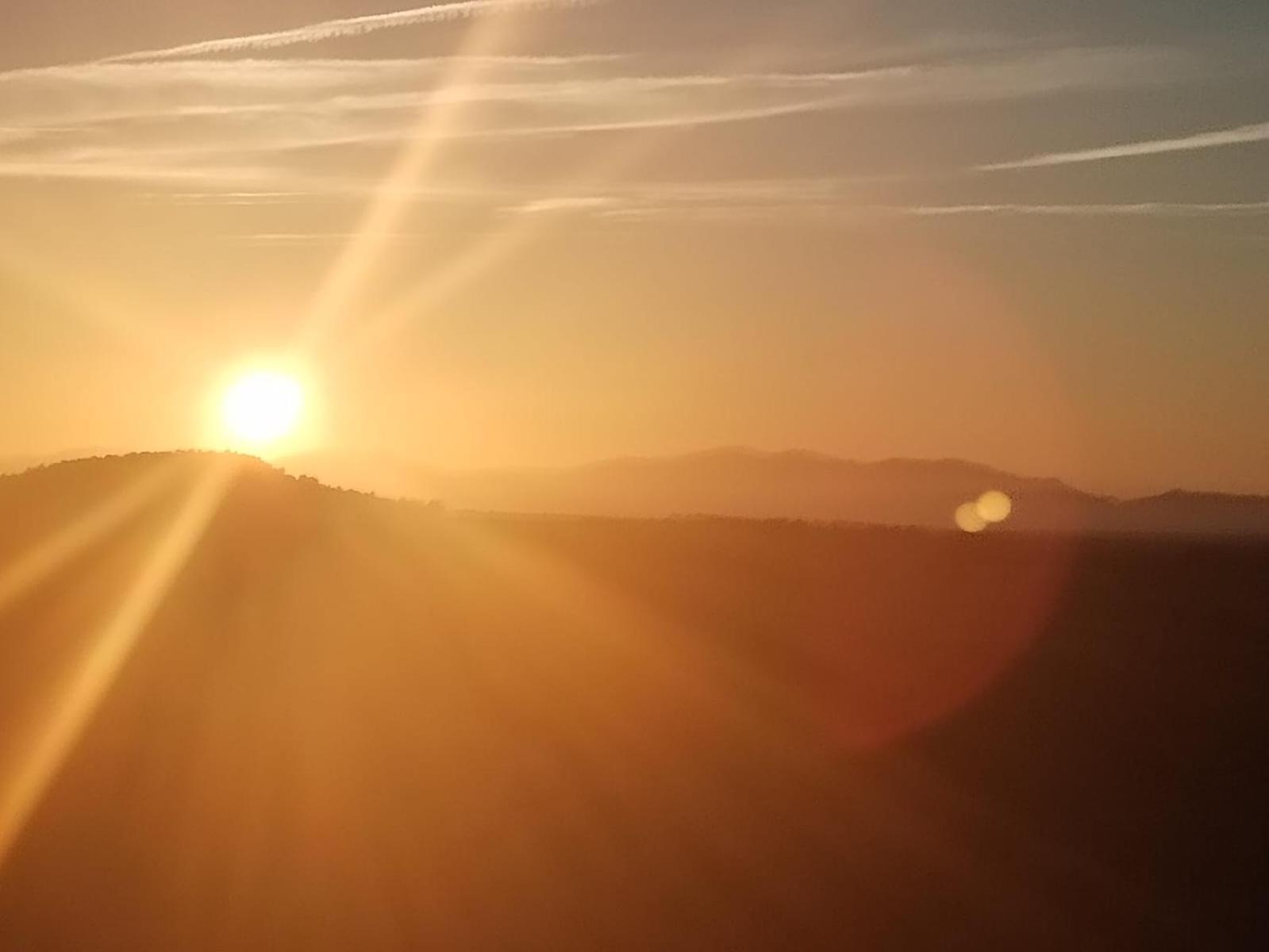 El Almendro de Fuentes Nuevas