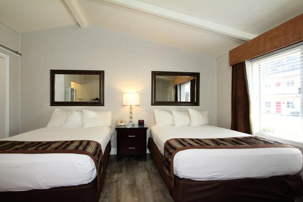 Standard  Double Room