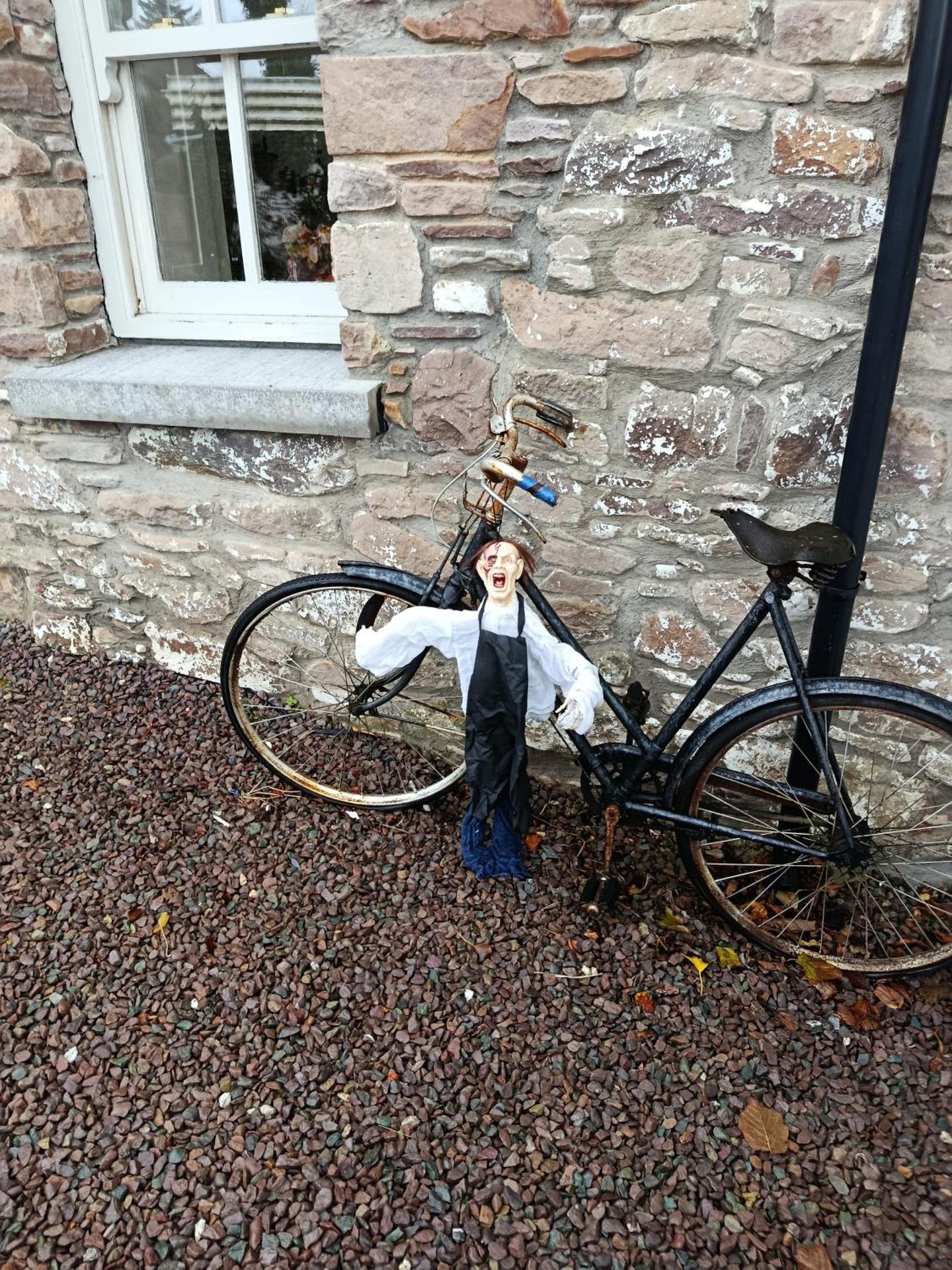 The Old House at Belfield