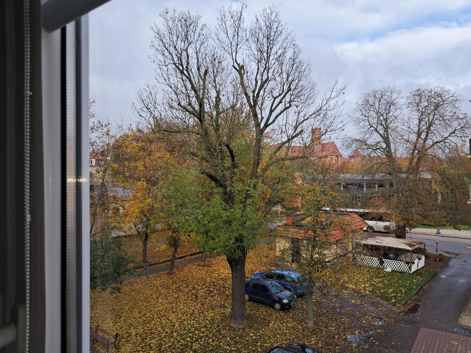 Apartament VERDE Malbork centrum