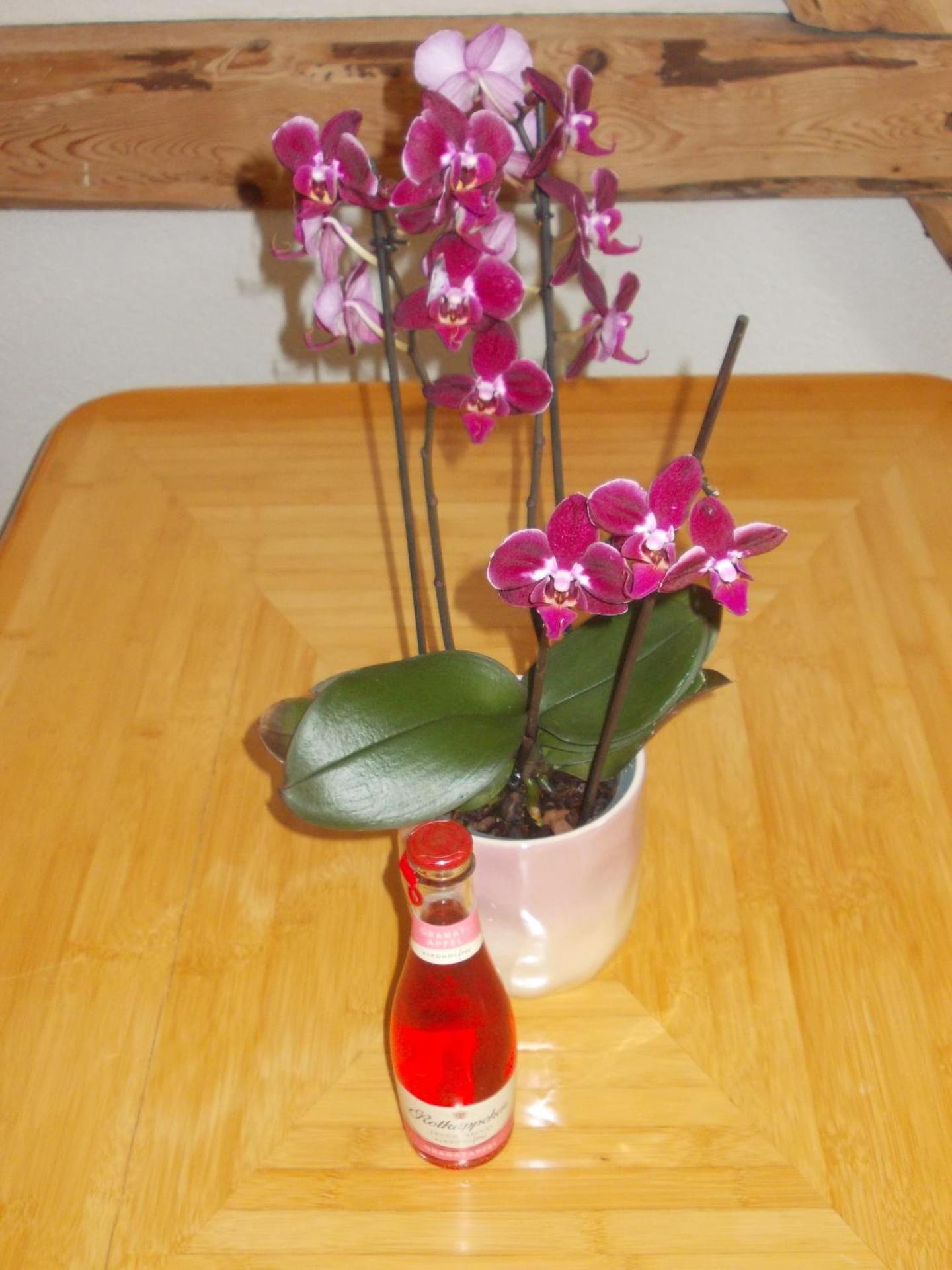 Ferienwohnung Neubert