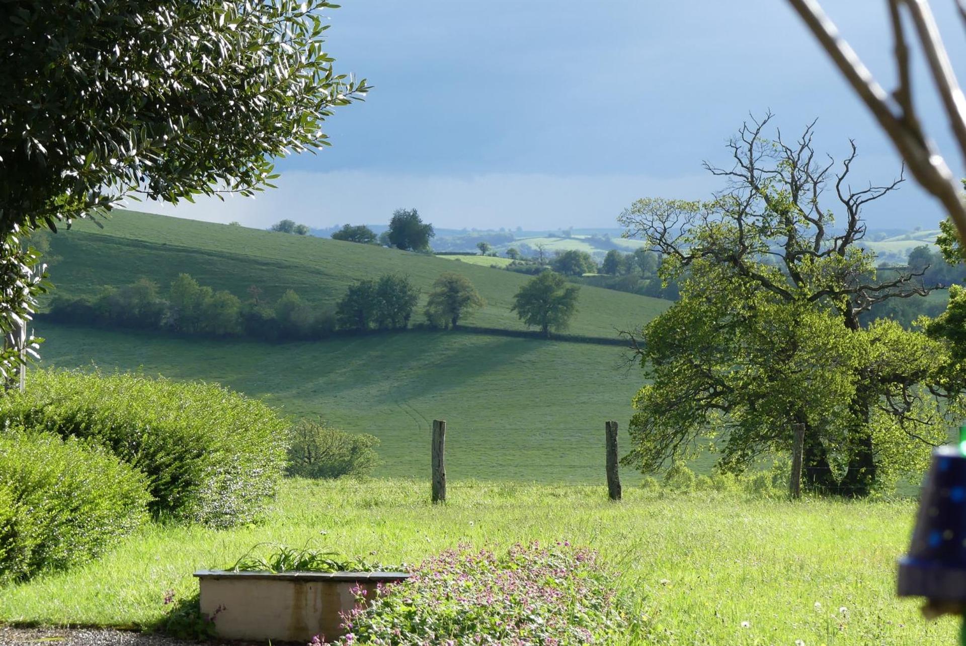 View (from property/room)