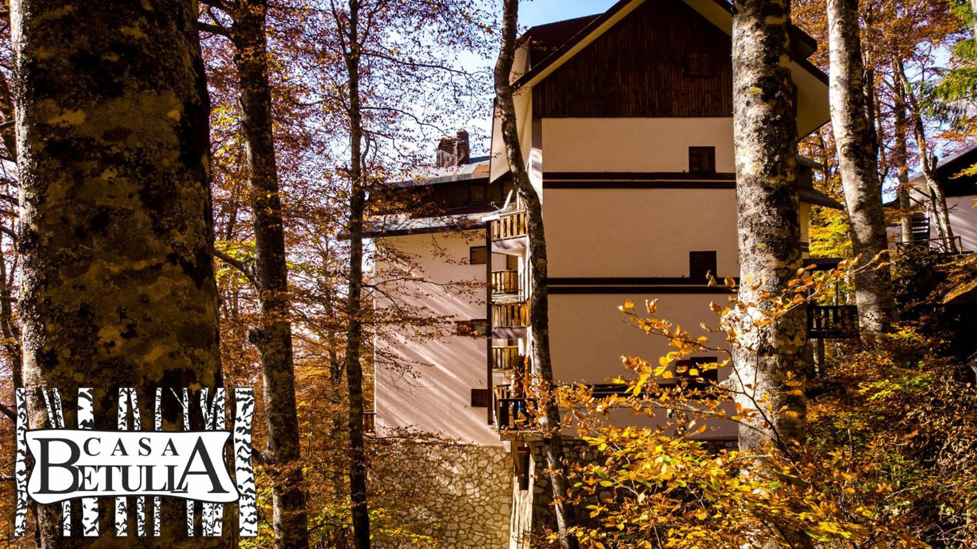 Le Case Nel Bosco Terminillo