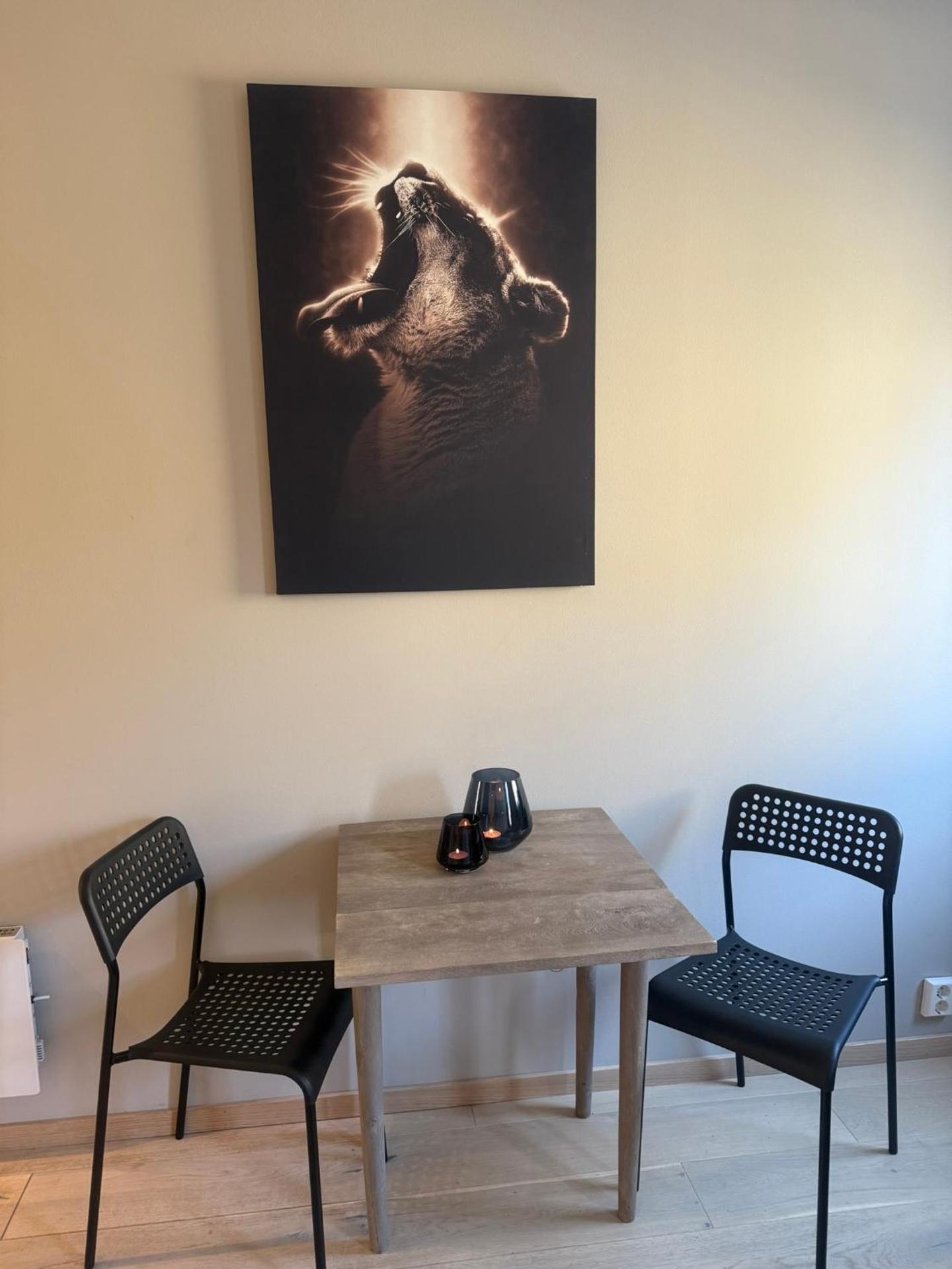 Notodden Sentrum Apartment NO 4