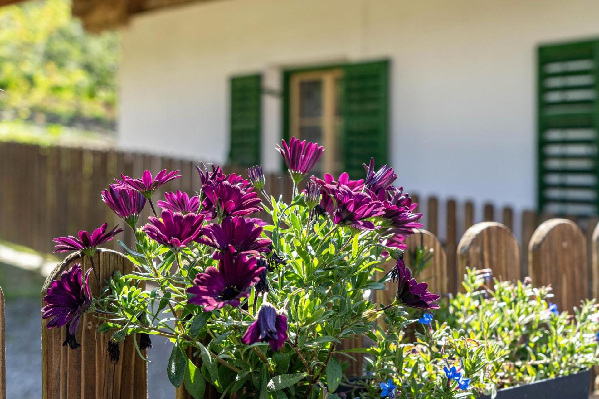Ferienwohnung Brunjaunhof