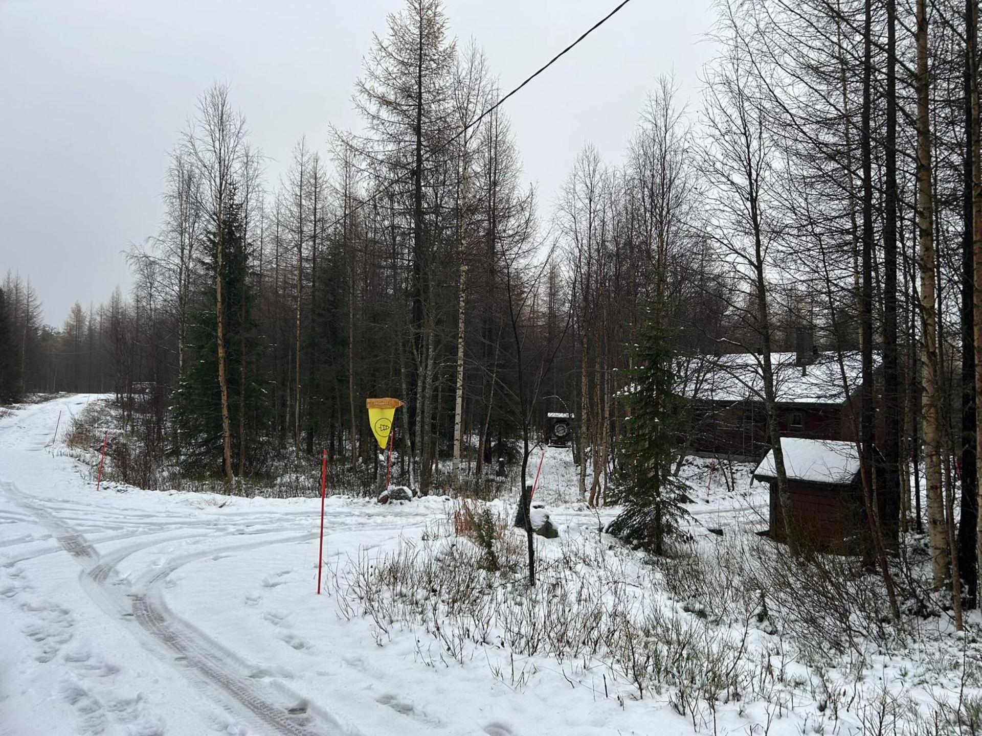 Logo/Certificate/Sign