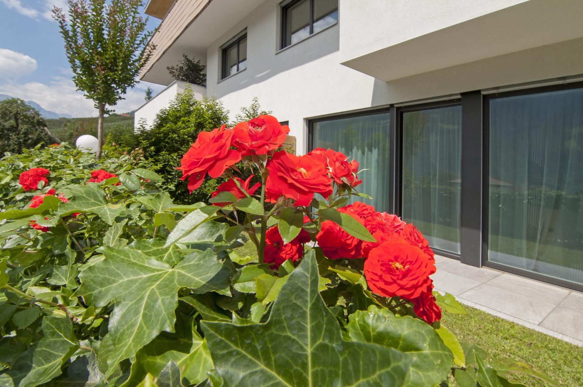 Weinreichhof Apartment Marie & Max