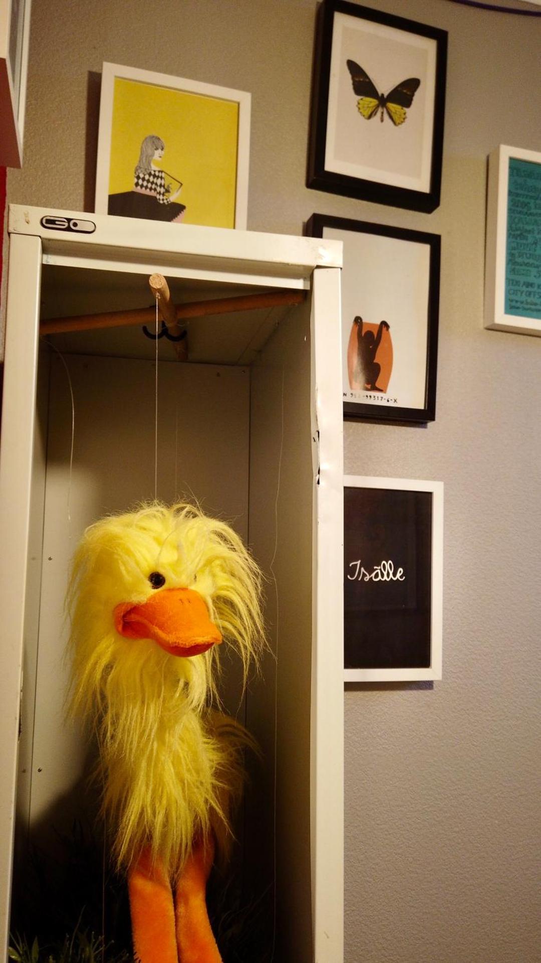 Bed in 8-Bed Mixed Dormitory Room with Shared Bathrooms