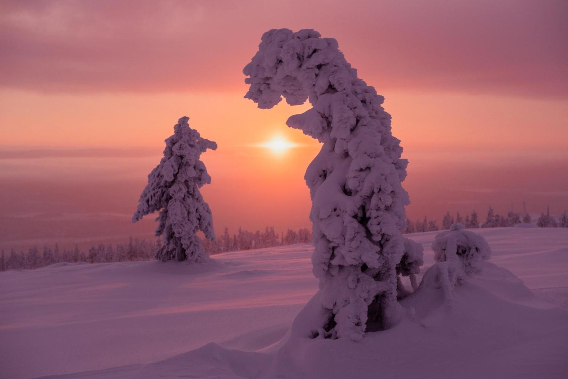 Rooms in a big wooden home, homestay