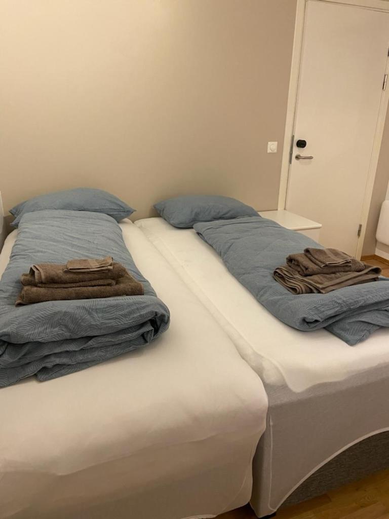 Either a large or a small apartment