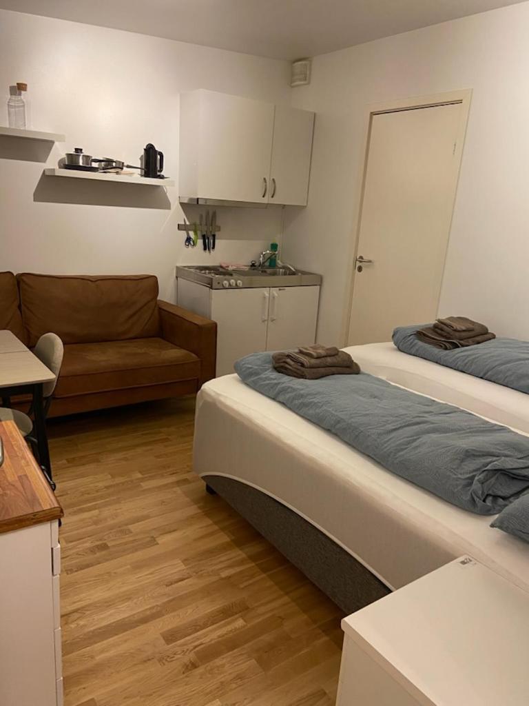 Either a large or a small apartment