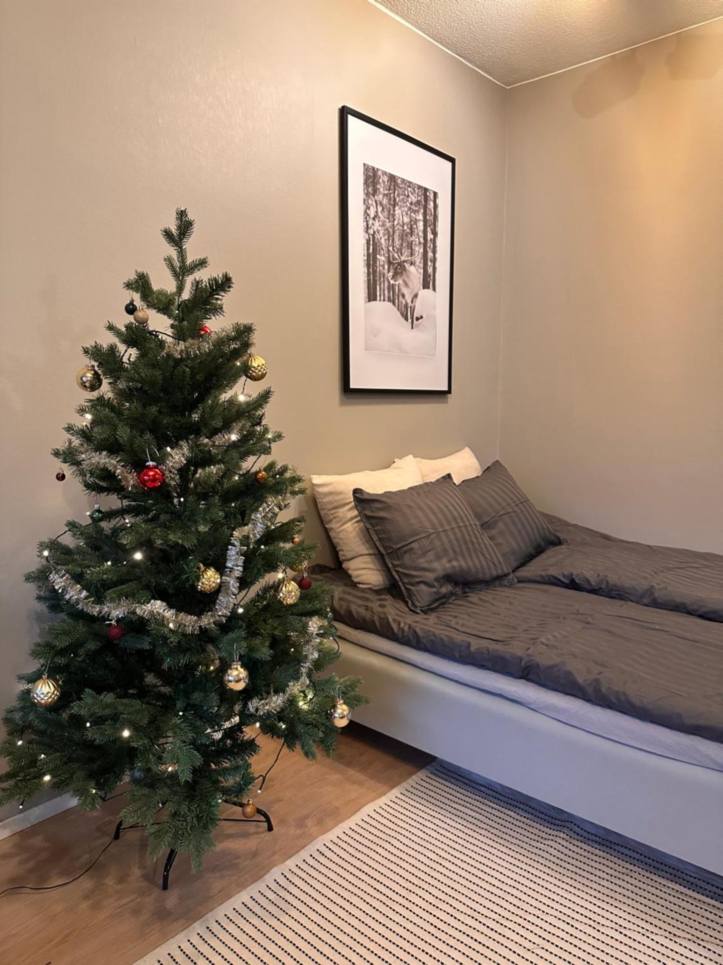 Apartment Arctic winter