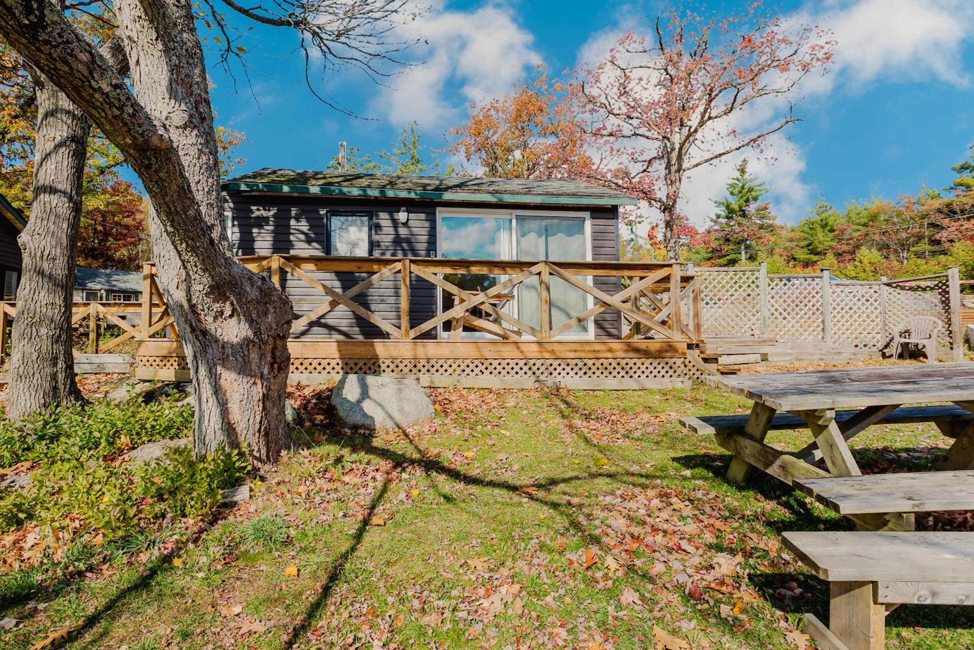 Studio Cottage #8 - Jack Pine