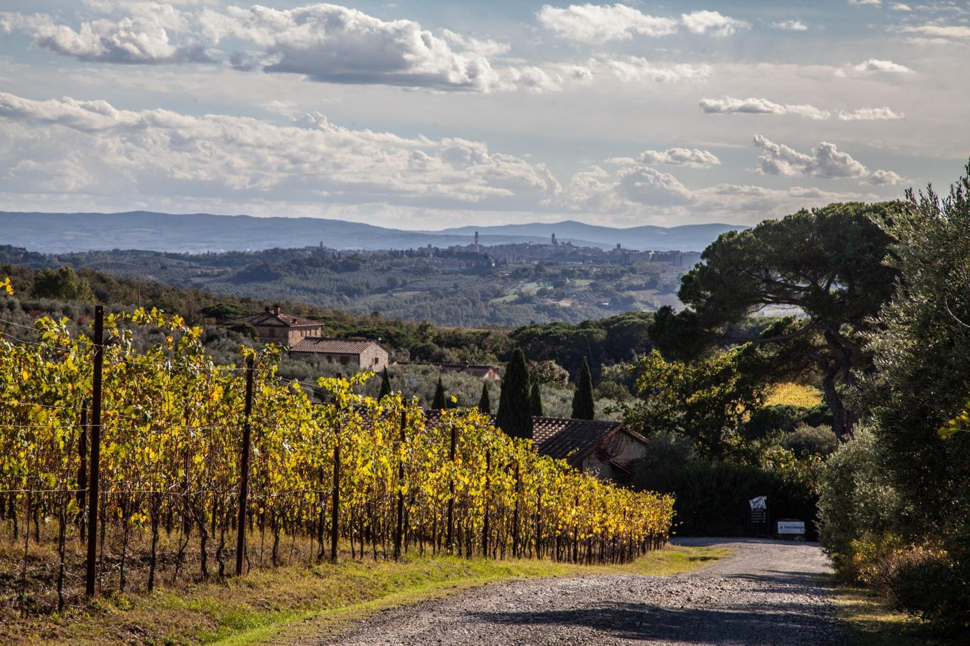 Fattoria Di Corsignano