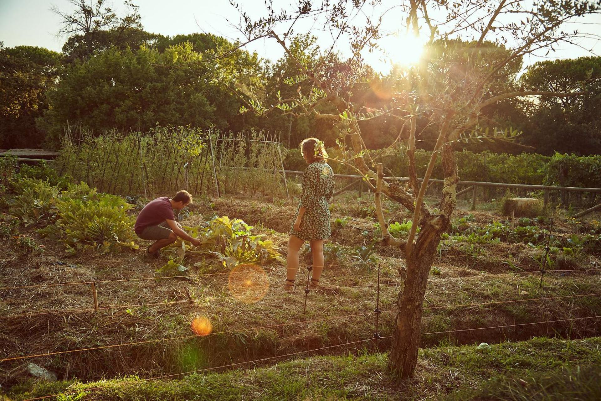 Fattoria Di Corsignano