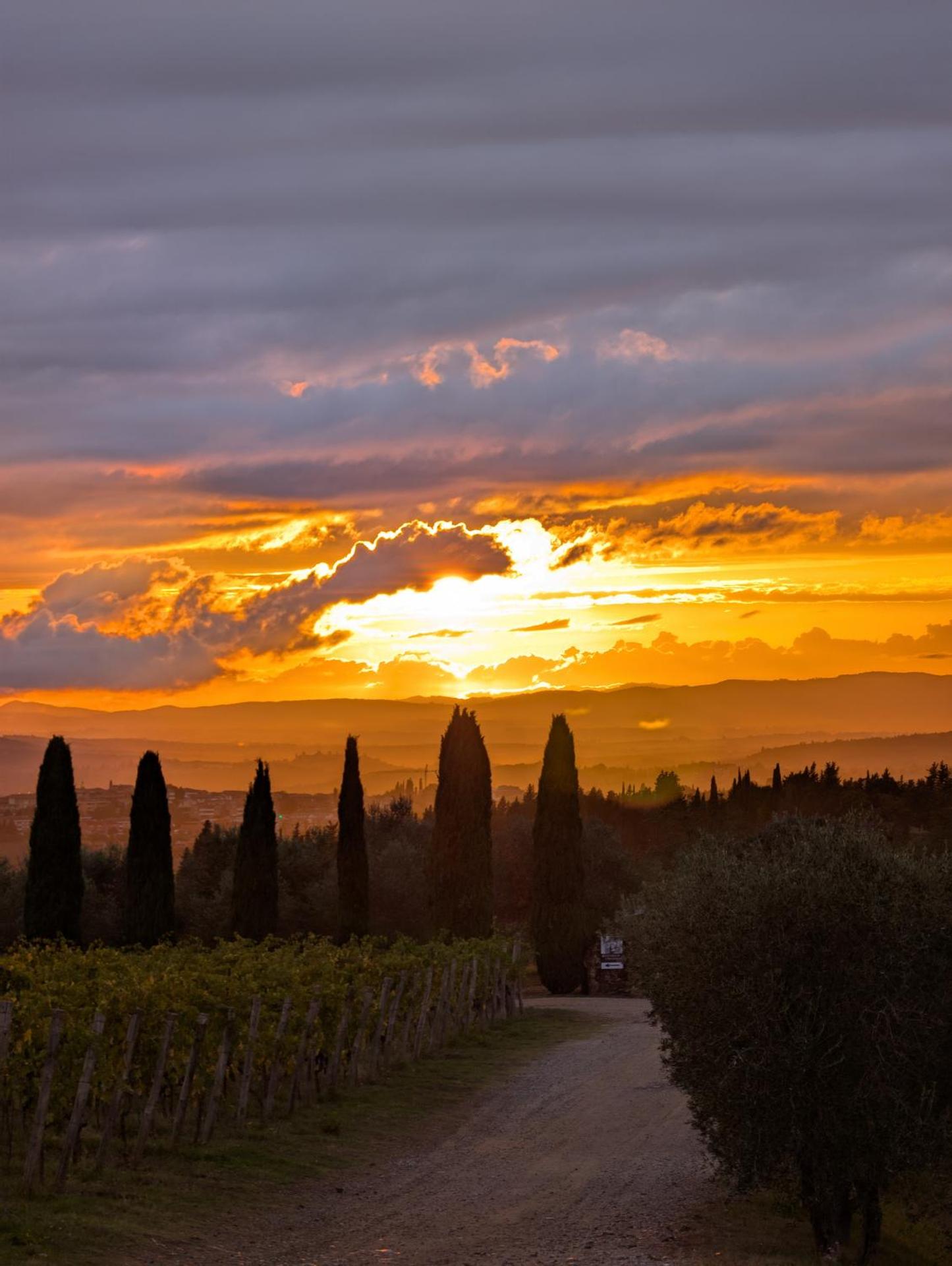 Fattoria Di Corsignano