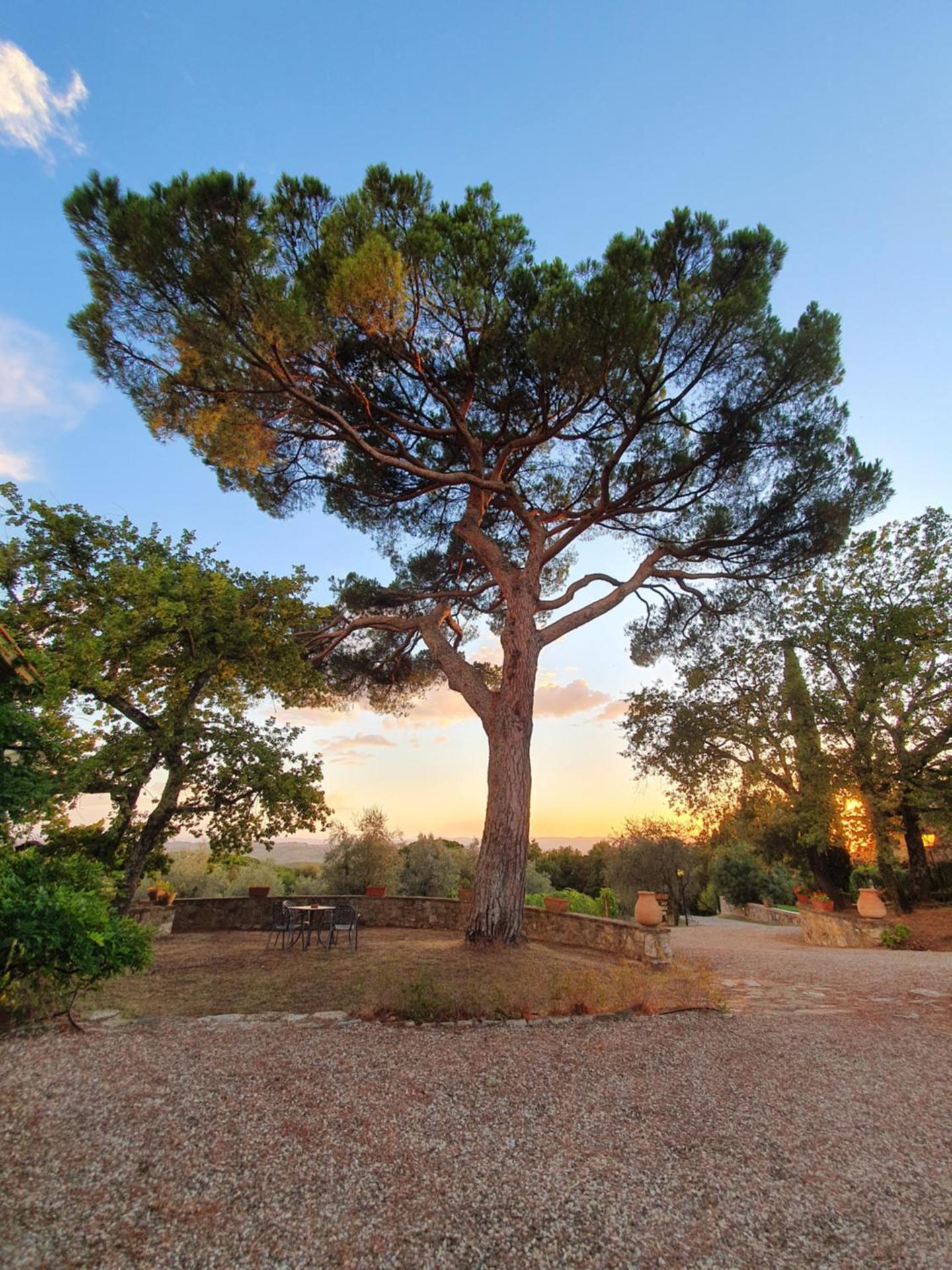 Fattoria Di Corsignano