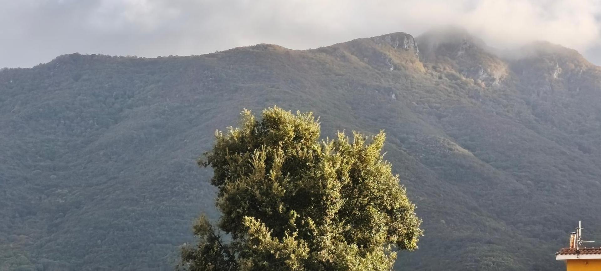 Inner courtyard view
