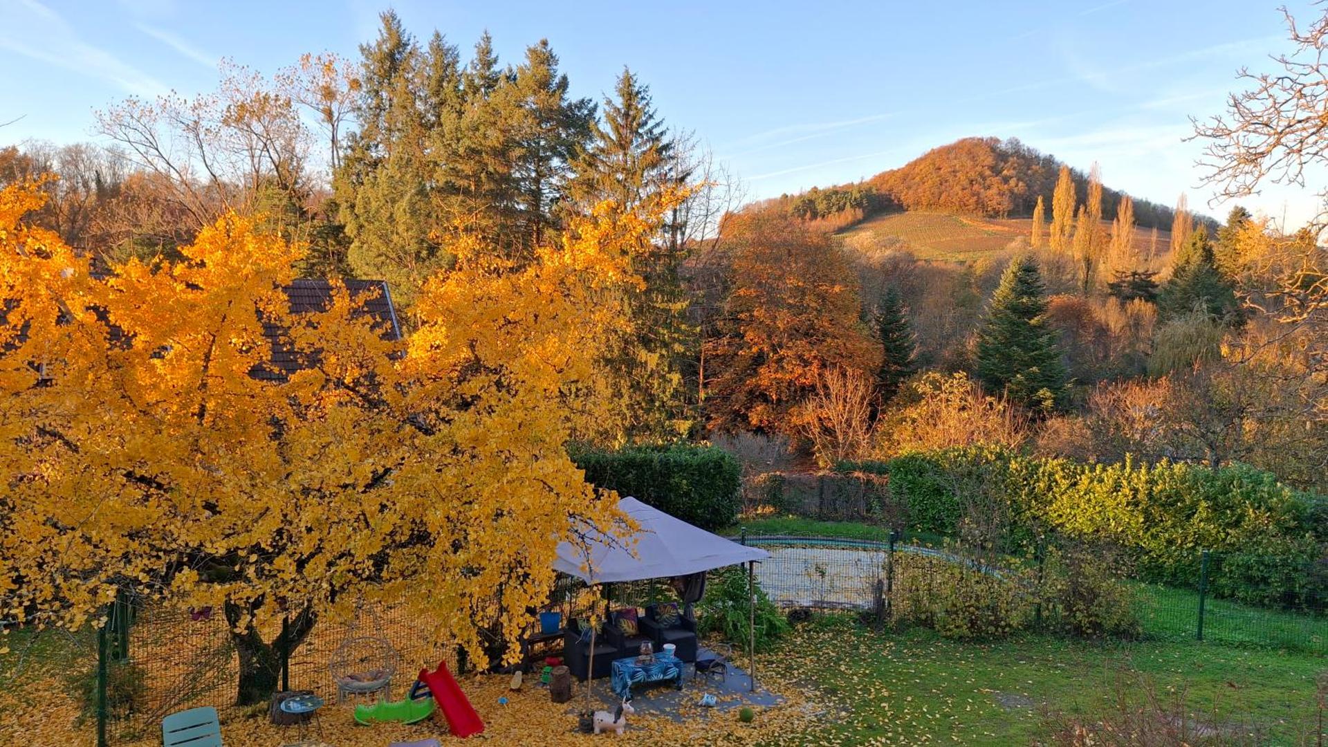 Studio 3 lits dans belle maison ancienne et jardin fermé