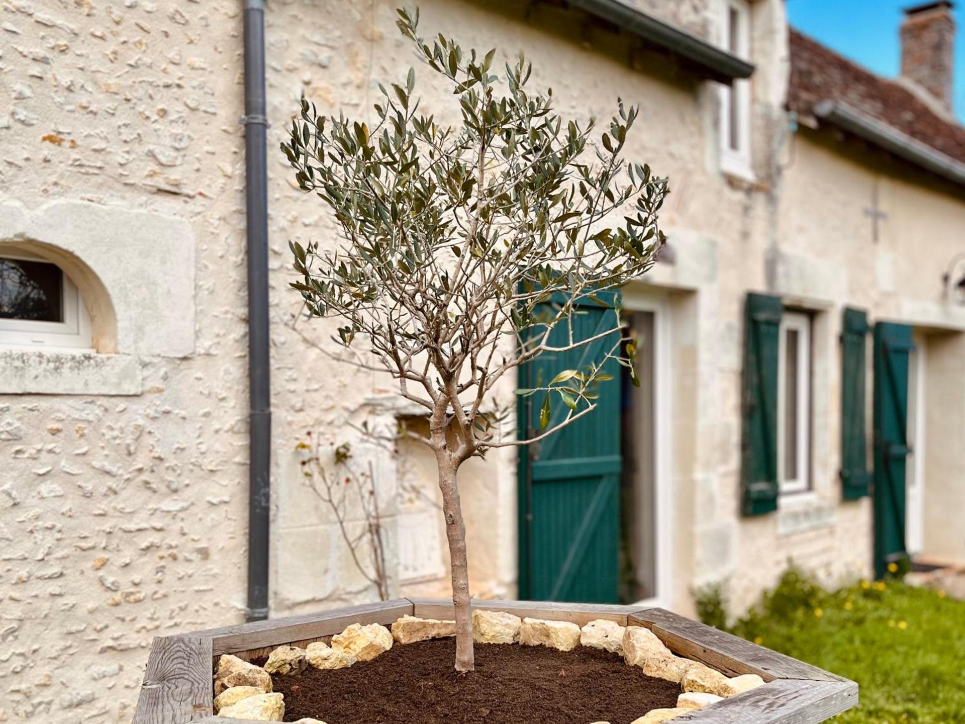 Voilà Le Logat - Chambres & Gîtes