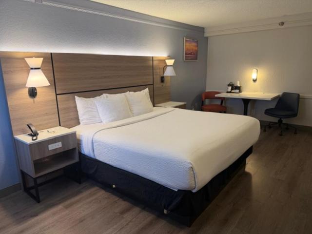 La Quinta by Wyndham Pinellas Park St Peterburg Clearwater