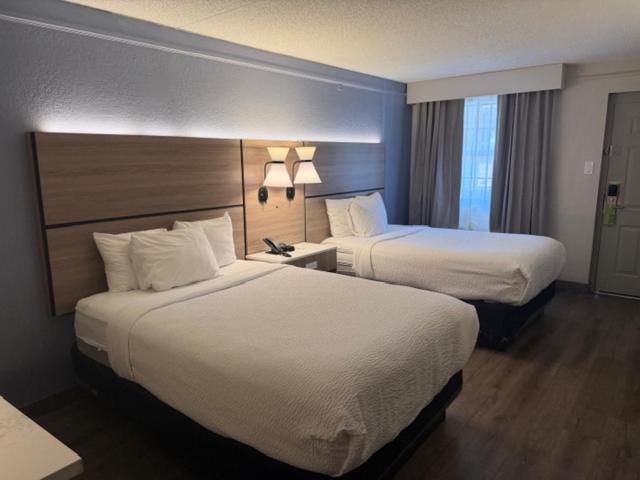 La Quinta by Wyndham Pinellas Park St Peterburg Clearwater