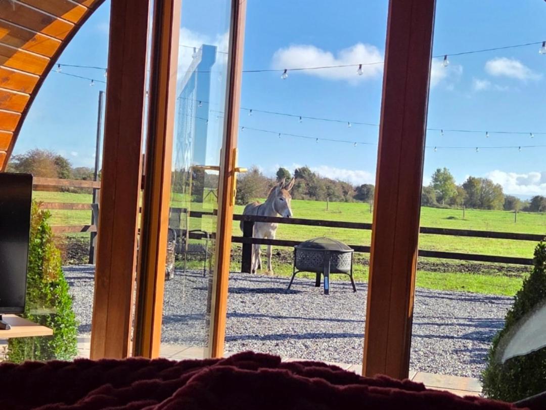 Blackditch hideaway cabin