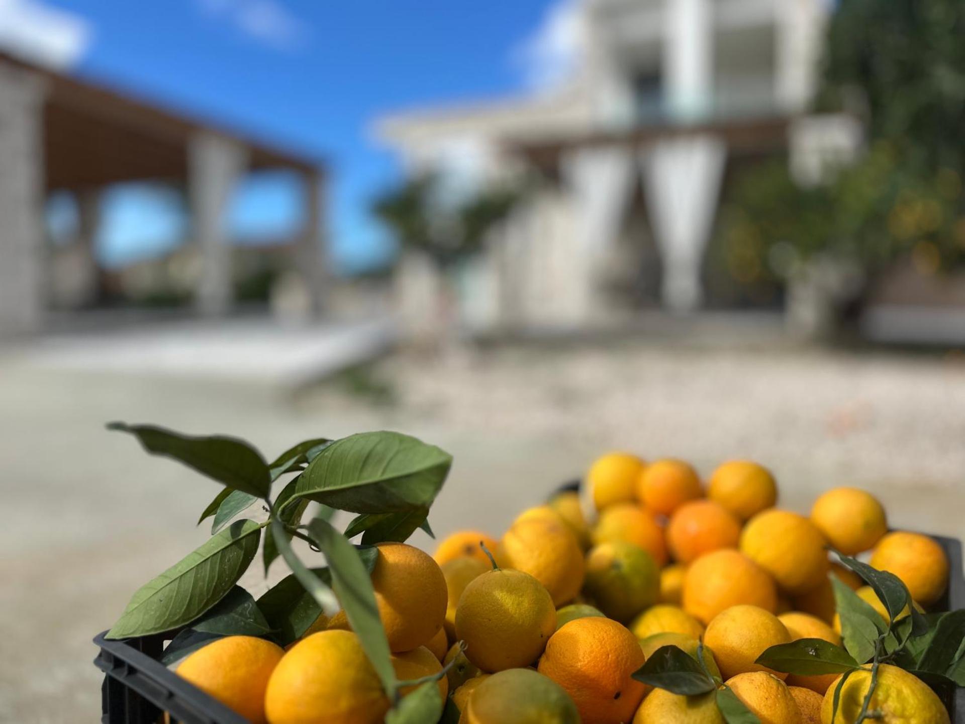 Rafaelia Premium villa with private pool in Drepano